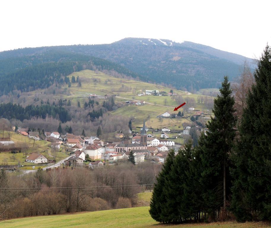 Les Hauts De Brochot 생 모리스 쉬르 모젤 객실 사진